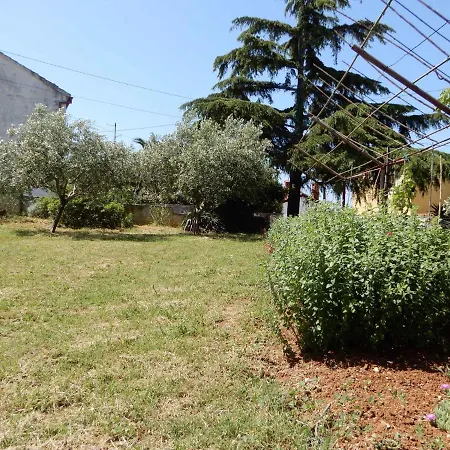 1 Apartman *